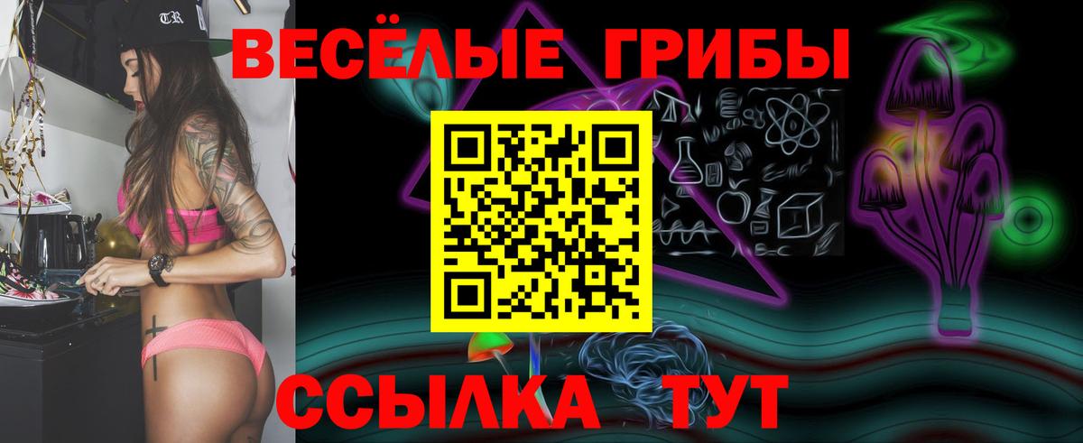 Галлюциногенные грибы Psilocybe Азнакаево